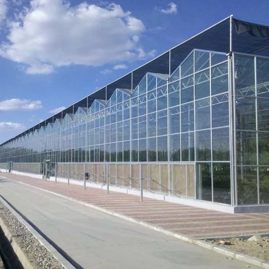 Multi Span Venlo Glass Greenhouse with External Shading System Intelligent agriculture Vertical Farming Hydroponic System