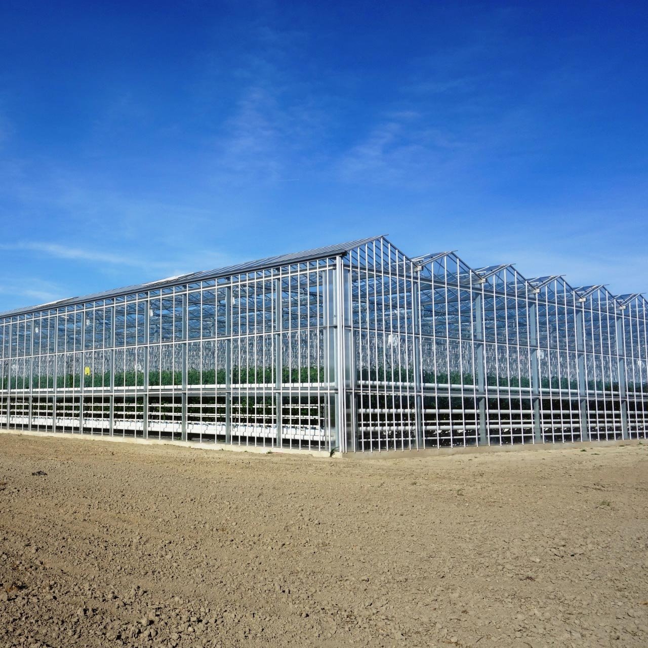 Multi Span Venlo Glass Greenhouse with External Shading System Intelligent agriculture Vertical Farming Hydroponic System