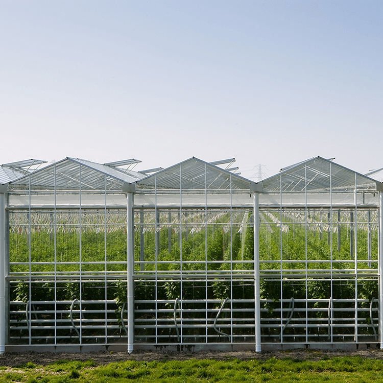 Multi Span Venlo Glass Greenhouse with External Shading System Intelligent agriculture Vertical Farming Hydroponic System