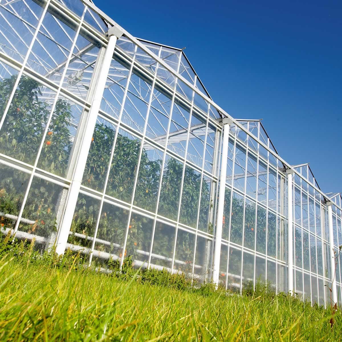 Multi Span Venlo Glass Greenhouse with External Shading System Intelligent agriculture Vertical Farming Hydroponic System