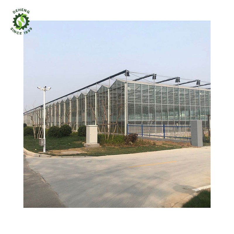 Made China Superior Quality Agricultural Greenhouse Venlo Glass Agricultural Garden Agricultural Venlo Glass Greenhouse