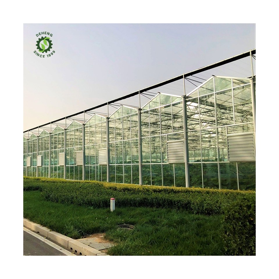 Made China Superior Quality Agricultural Greenhouse Venlo Glass Agricultural Garden Agricultural Venlo Glass Greenhouse