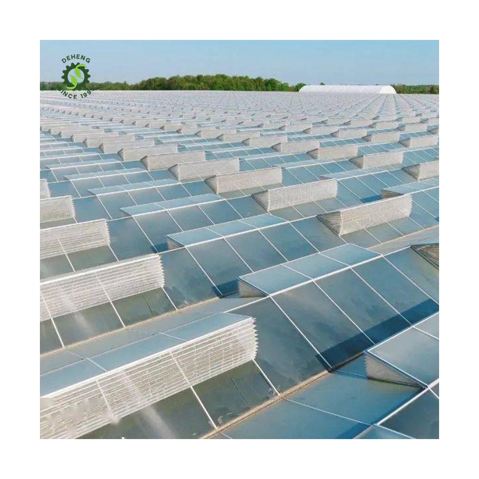 Made China Superior Quality Agricultural Greenhouse Venlo Glass Agricultural Garden Agricultural Venlo Glass Greenhouse