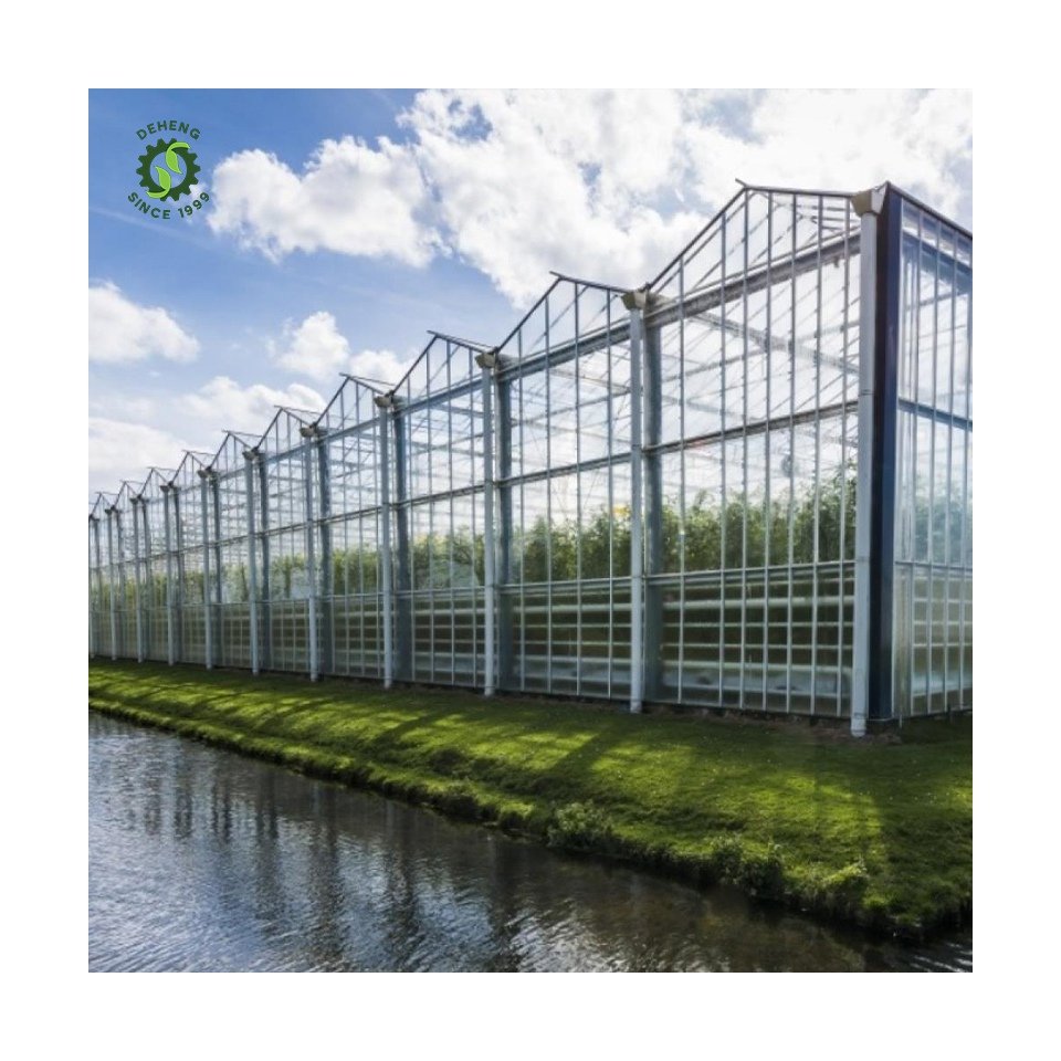 Made China Superior Quality Agricultural Greenhouse Venlo Glass Agricultural Garden Agricultural Venlo Glass Greenhouse