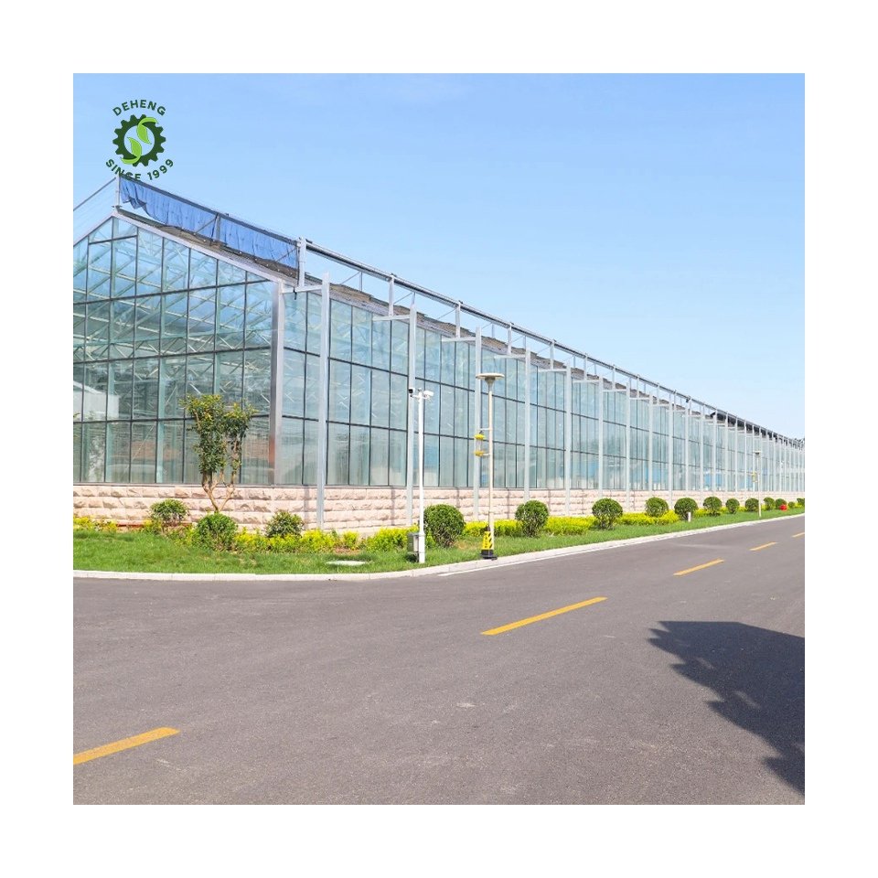 Made China Superior Quality Agricultural Greenhouse Venlo Glass Agricultural Garden Agricultural Venlo Glass Greenhouse