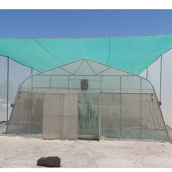 Economic Tunnel Plastic Greenhouse CMS3810 Greenhouse