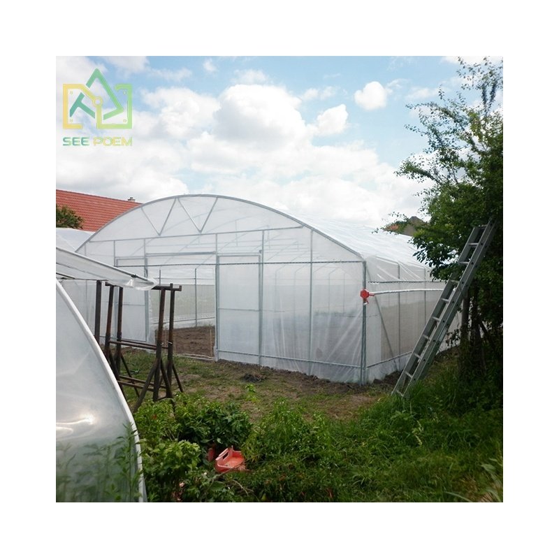 Solar Dryer Greenhouse Commercial Greenhouse for drying fruits