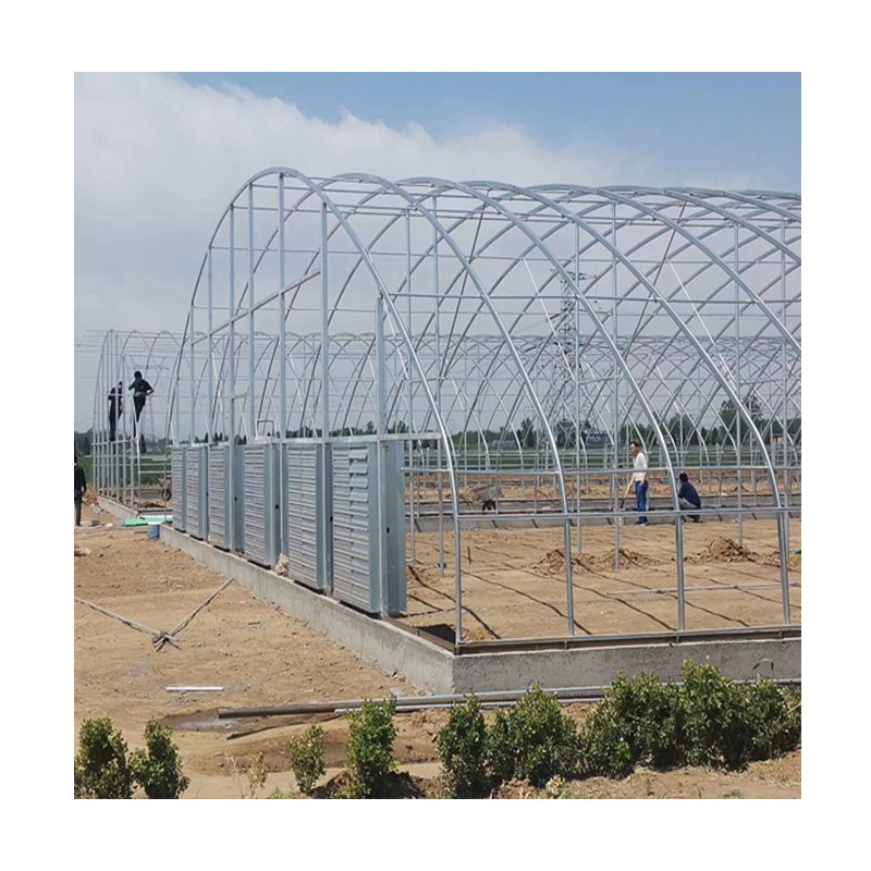 Medial plants growing 100% blackout curtains light deprivation greenhouse for hemp
