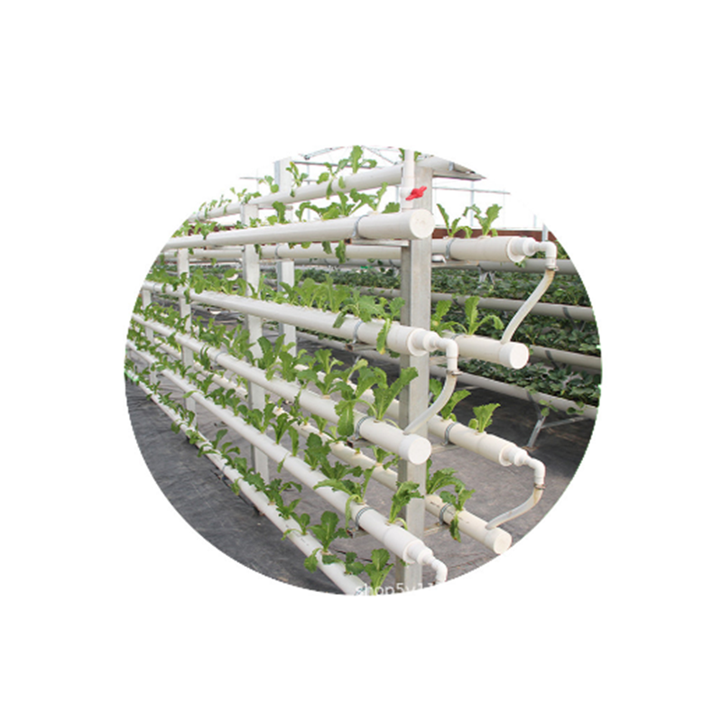 Eco-Friendly tomato hydroponics system greenhouse agricultural greenhouses hydroponic shelves growing system