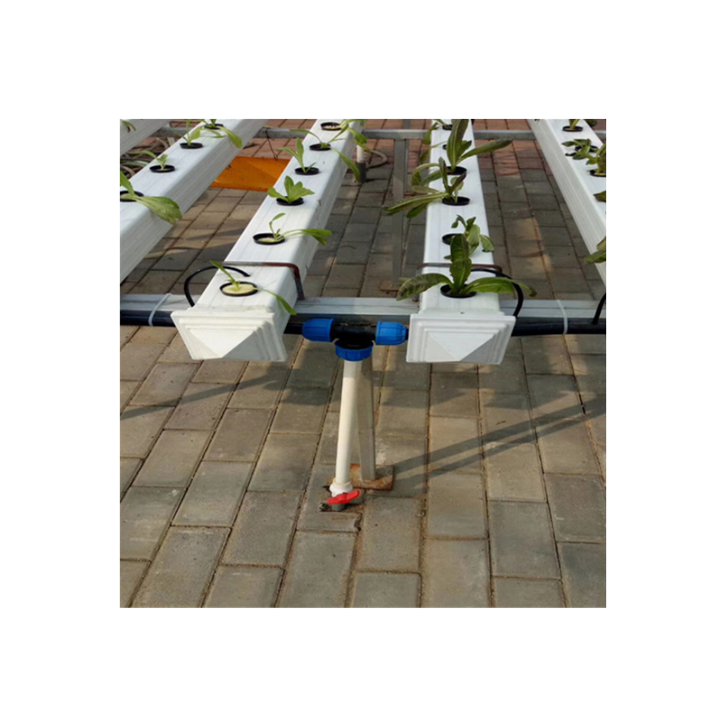 Eco-Friendly tomato hydroponics system greenhouse agricultural greenhouses hydroponic shelves growing system