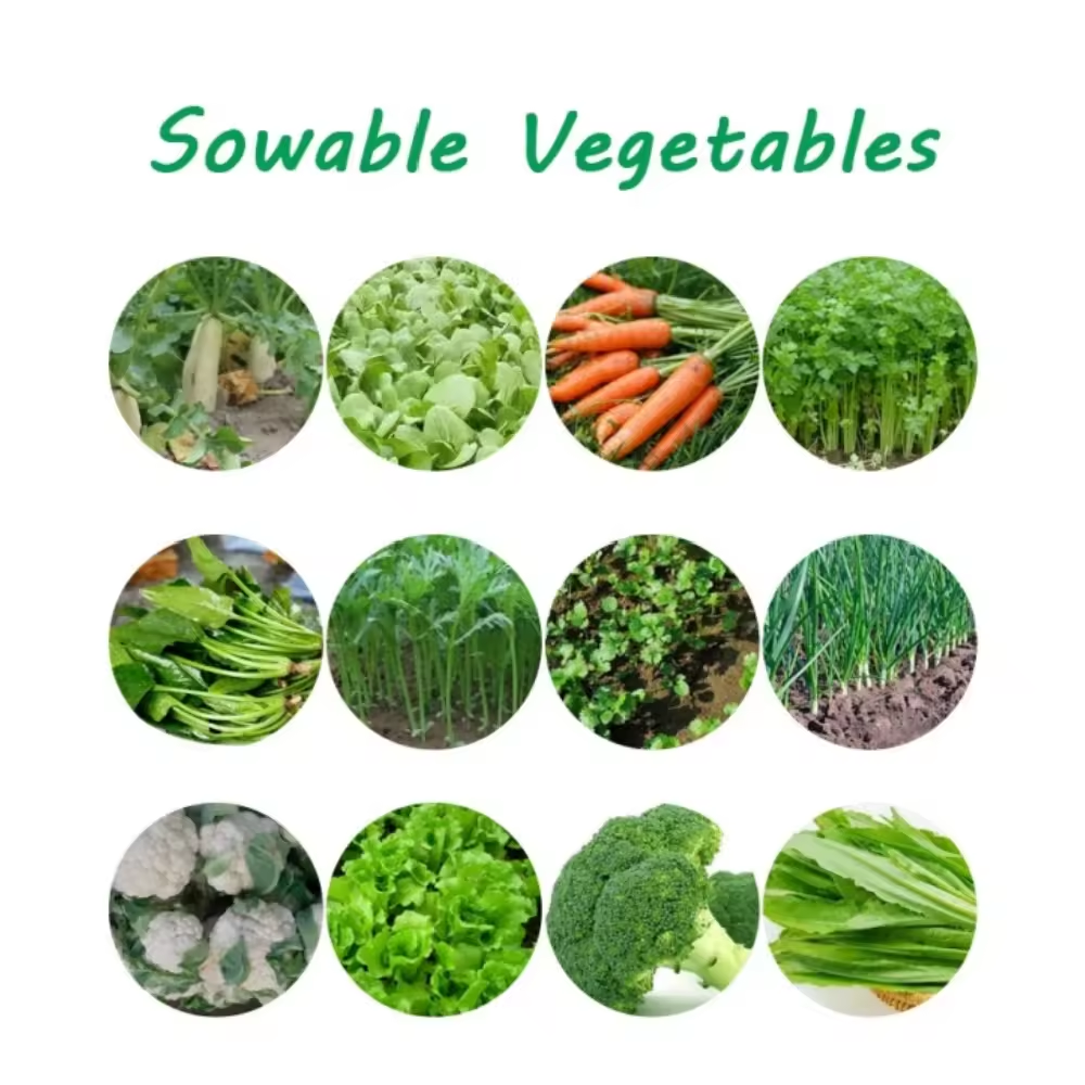 Planters Seeder Machine Hand Propelled 4 Row Agricultural Machinery Rapeseed Seed Sowing Rice Planting Vegetable