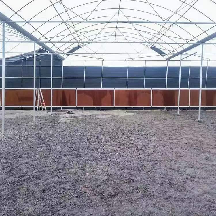 Greenhouse Construction Plastic Film Greenhouse Galvanized Steel Frame Greenhouse For Agriculture