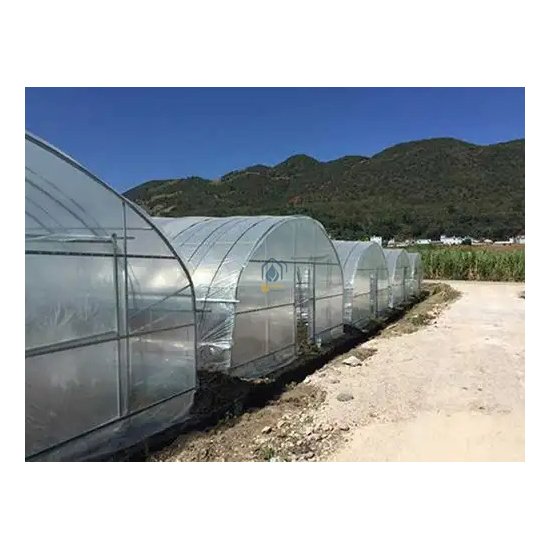 agricultural greenhousepl astic film poly tunnel greenhouse greenhouse for sale
