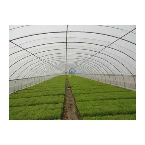 agricultural greenhousepl astic film poly tunnel greenhouse greenhouse for sale