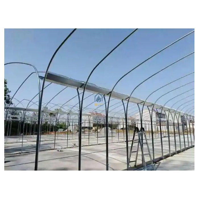 agricultural greenhousepl astic film poly tunnel greenhouse greenhouse for sale