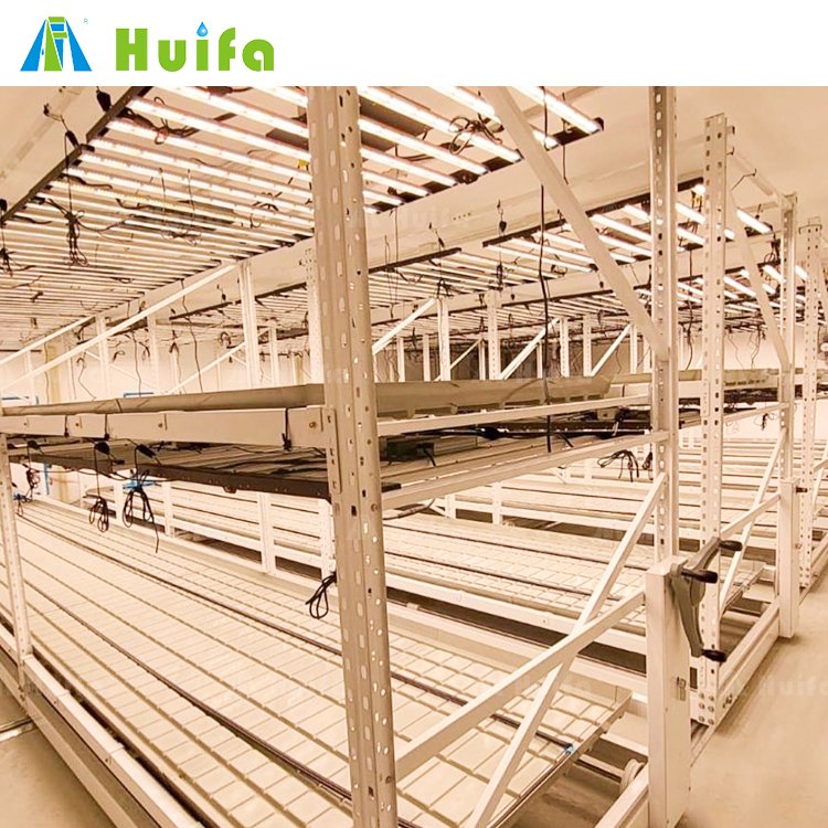 Modern New 4x8ft Vertical Hydroponic Flood Tables And Trays Vertical Grow Racks Farming Indoor Grow Rack Agricultural Greenhouse