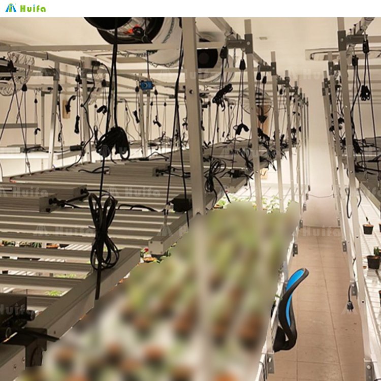 Modern New 4x8ft Vertical Hydroponic Flood Tables And Trays Vertical Grow Racks Farming Indoor Grow Rack Agricultural Greenhouse