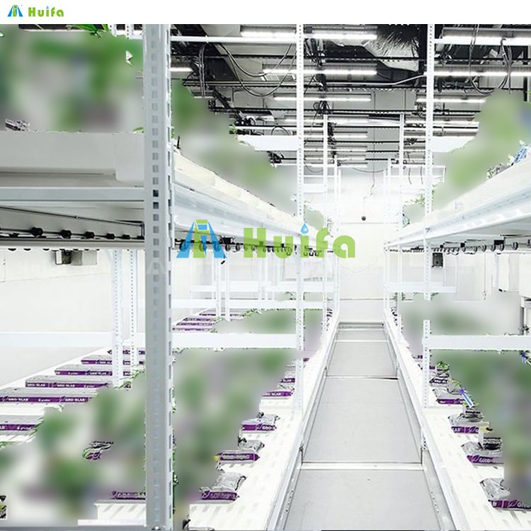 Modern New 4x8ft Vertical Hydroponic Flood Tables And Trays Vertical Grow Racks Farming Indoor Grow Rack Agricultural Greenhouse