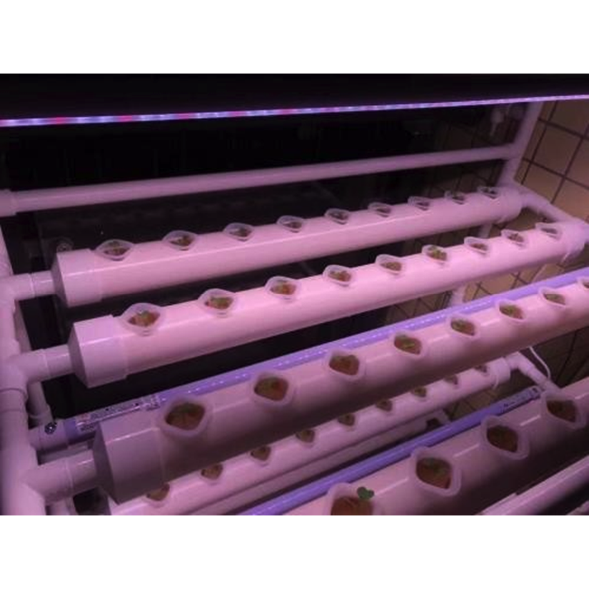 High Quality Polyurethane Inhouse Innovated Product Environmental Friendly Agricultural Greenhouses Based Hydroponic Foam