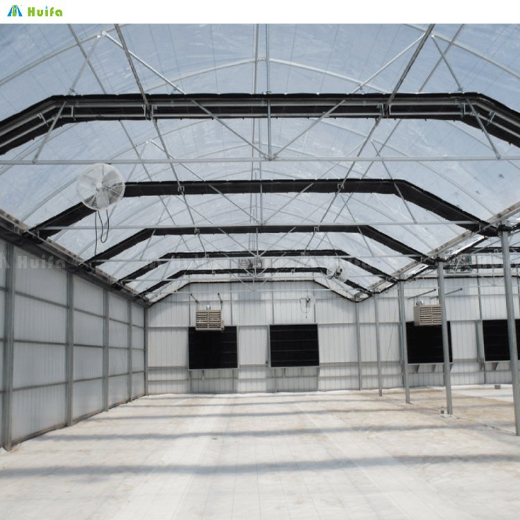 Hot Sale Hemp Agriculture Greenhouse Systems Automatic Tunnel Green Houses Blackout