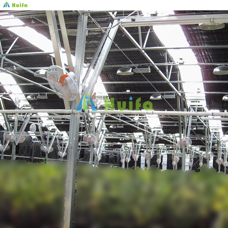 Hot Sale Hemp Agriculture Greenhouse Systems Automatic Tunnel Green Houses Blackout
