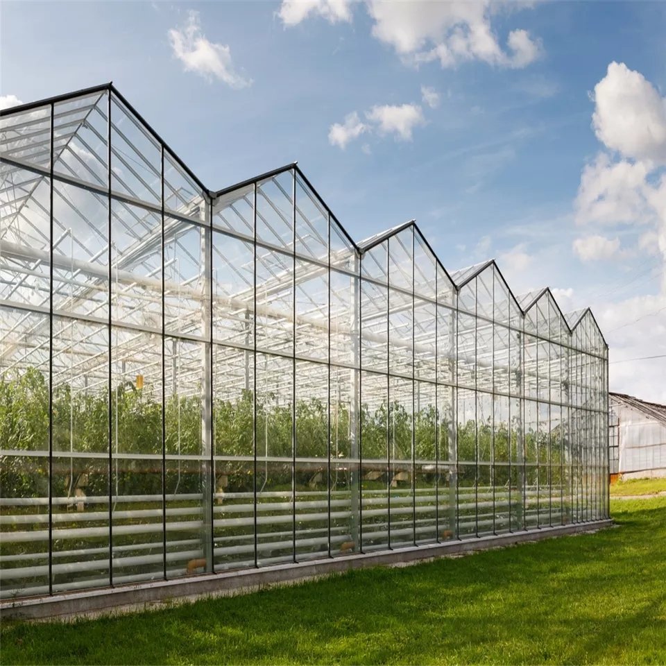 Yutuo Multi-span glass agricultural greenhouses