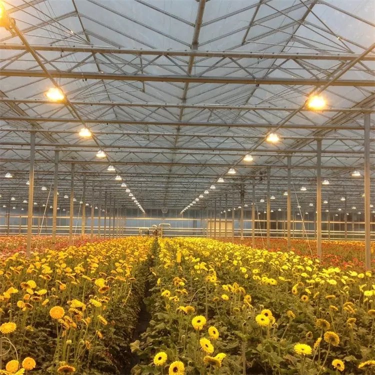 Yutuo Multi-span glass agricultural greenhouses