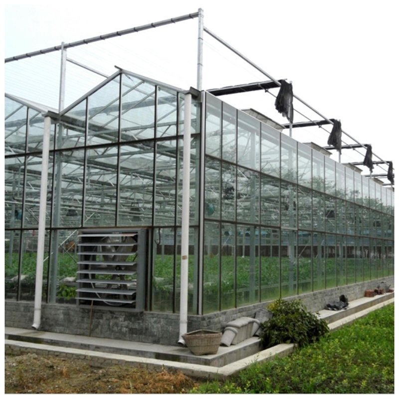 Large Multi-span Commercial Venlo Glass Greenhouse With Seedbed Hydroponic For Tomato Strawberry