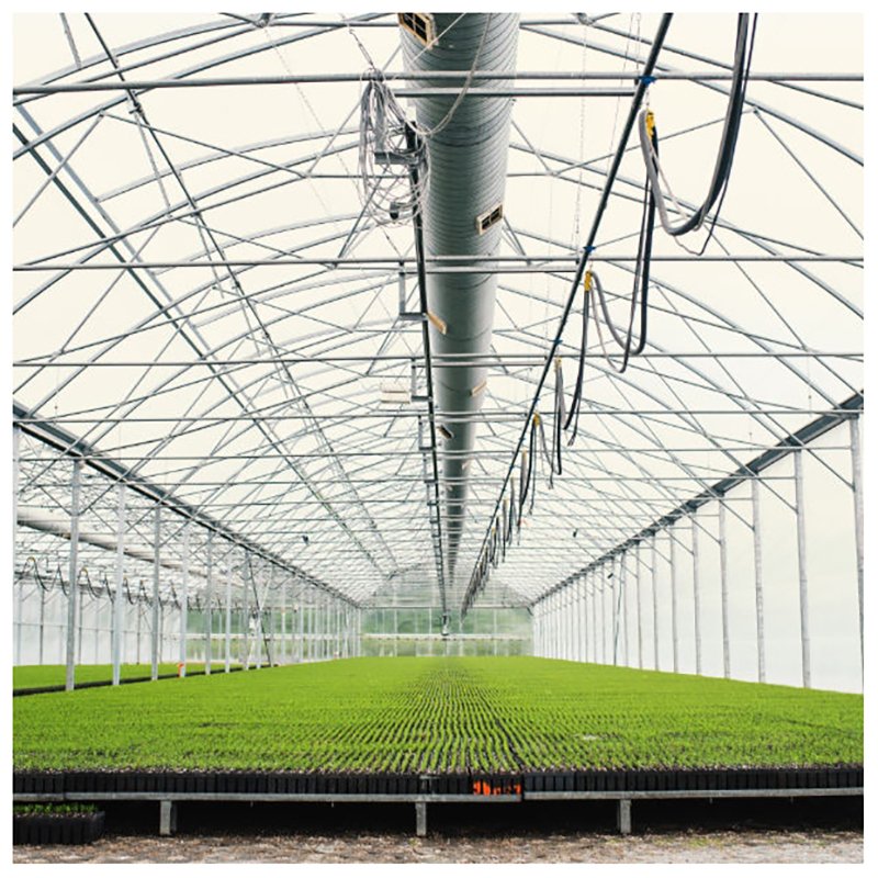 Large Multi-span Commercial Venlo Glass Greenhouse With Seedbed Hydroponic For Tomato Strawberry