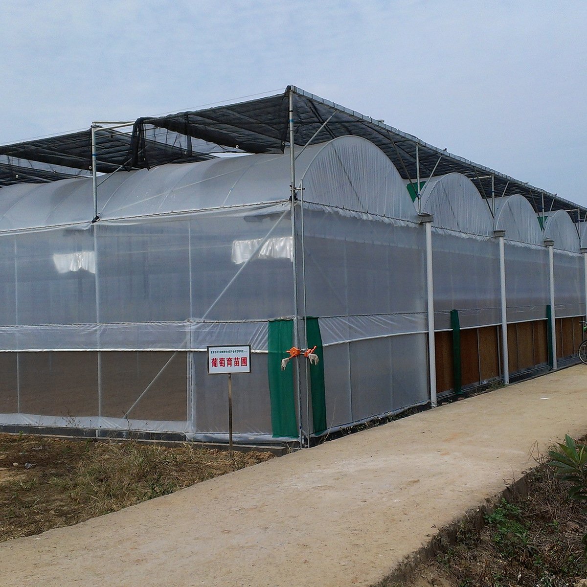 FM large modern metal frame hydroponic system green house tomato seeds hoop house agricultural greenhouse Thailand