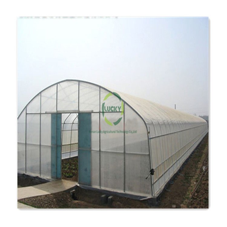Dorisun Large Sheet Strawberry Blueberry Growing Greenhouse Supplies Agricultural Plastic Low Cost Poly Tunnel Green House