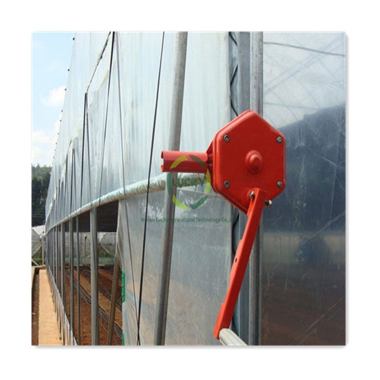 Dorisun Large Sheet Strawberry Blueberry Growing Greenhouse Supplies Agricultural Plastic Low Cost Poly Tunnel Green House