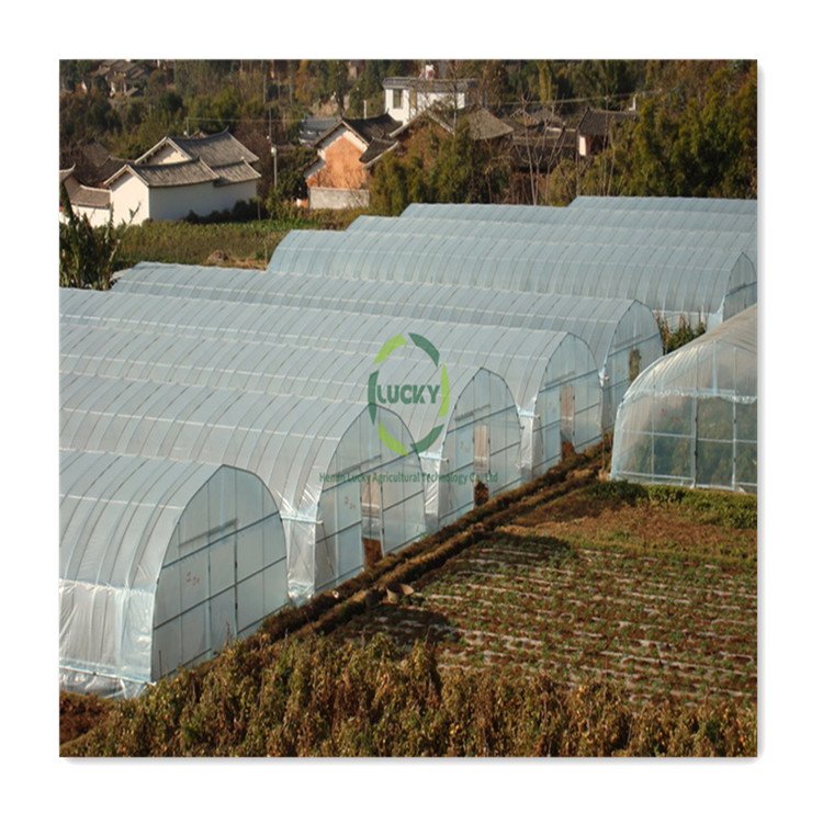 Dorisun Large Sheet Strawberry Blueberry Growing Greenhouse Supplies Agricultural Plastic Low Cost Poly Tunnel Green House