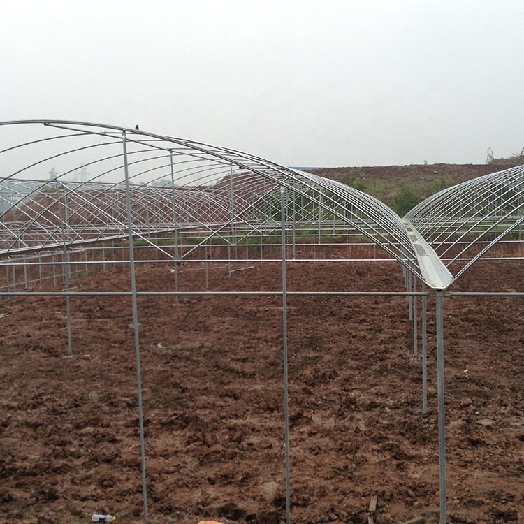 Baolida poly tunnel agriculture green house vegetable high polythene tunnel rain shelter greenhouse for tomato