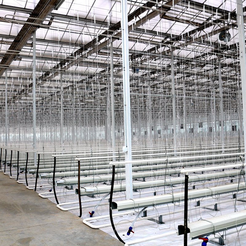 Aluminum Frame Agricultural Tempered Glass Greenhouse Commercial Green House Climate Control Greenhouse
