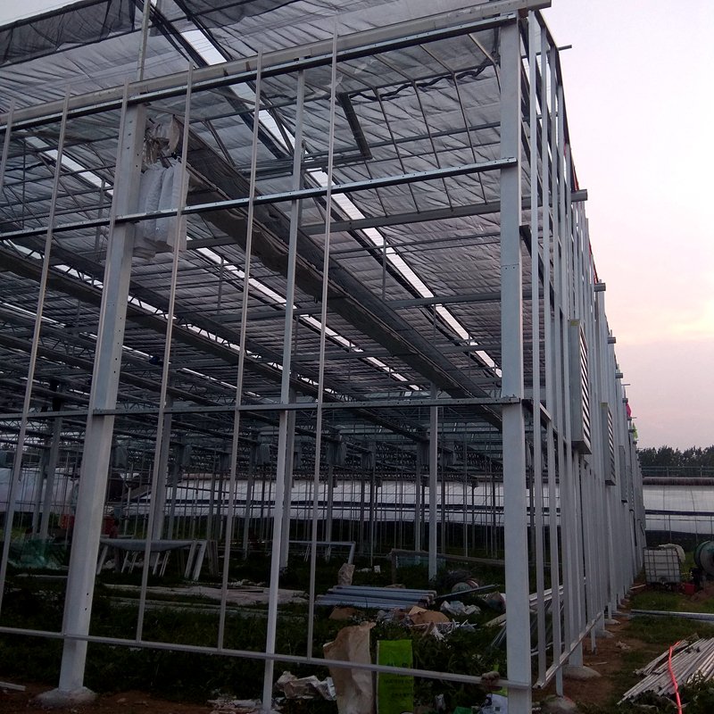 Aluminum Frame Agricultural Tempered Glass Greenhouse Commercial Green House Climate Control Greenhouse