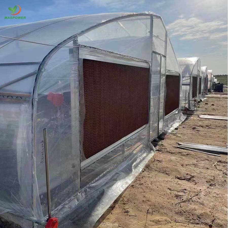 Outdoor tunnel house greenhouse 2m x 5m for agriculture ,raspberry ,tomato ,parsely, blueberry growing