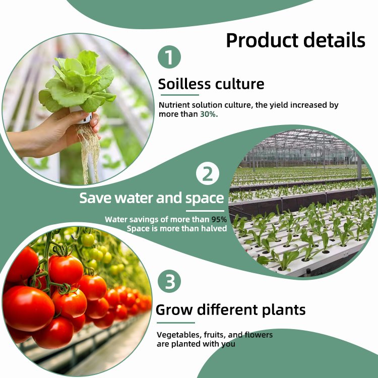 Complete High Productivity Horizontal Nft Hydroponic System Pvc Channels Commercial Hydroponic Nft Big Systems