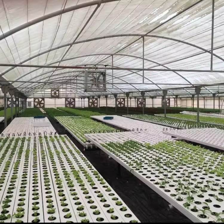 Complete High Productivity Horizontal Nft Hydroponic System Pvc Channels Commercial Hydroponic Nft Big Systems