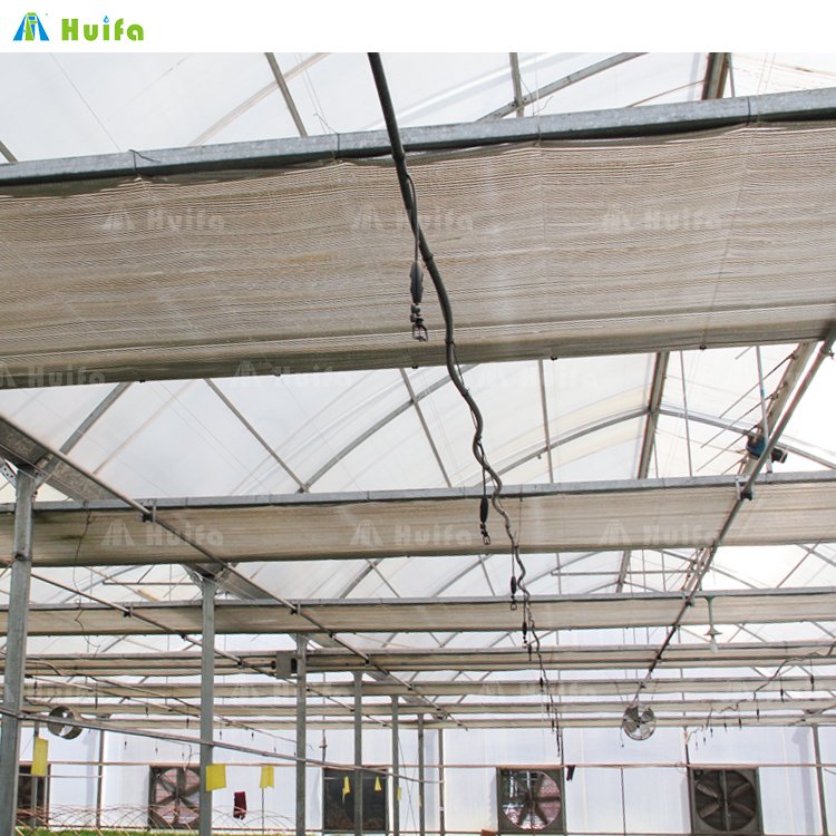 Commercial Agricultural Poly Tunnel Single-span Green House Tomato Greenhouse For Sale