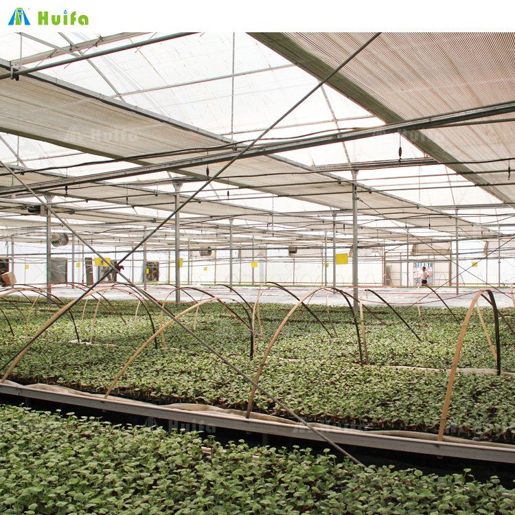 Commercial Agricultural Poly Tunnel Single-span Green House Tomato Greenhouse For Sale