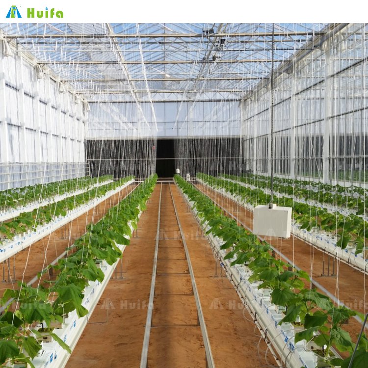 Commercial Agricultural Poly Tunnel Single-span Green House Tomato Greenhouse For Sale