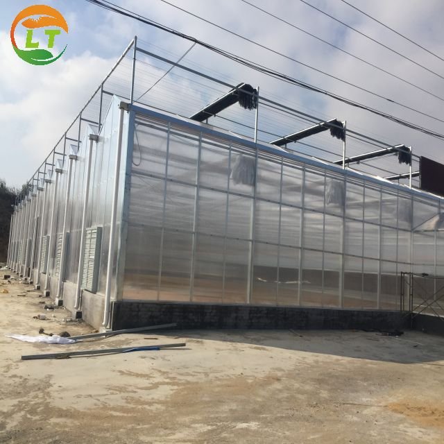 Solar Panels for Greenhouses Transparent Pc Sheet Large Chicken Coop Plants Growing Large Metal Green House Frame Large Shed