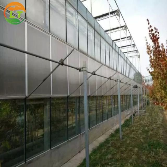 Solar Panels for Greenhouses Transparent Pc Sheet Large Chicken Coop Plants Growing Large Metal Green House Frame Large Shed
