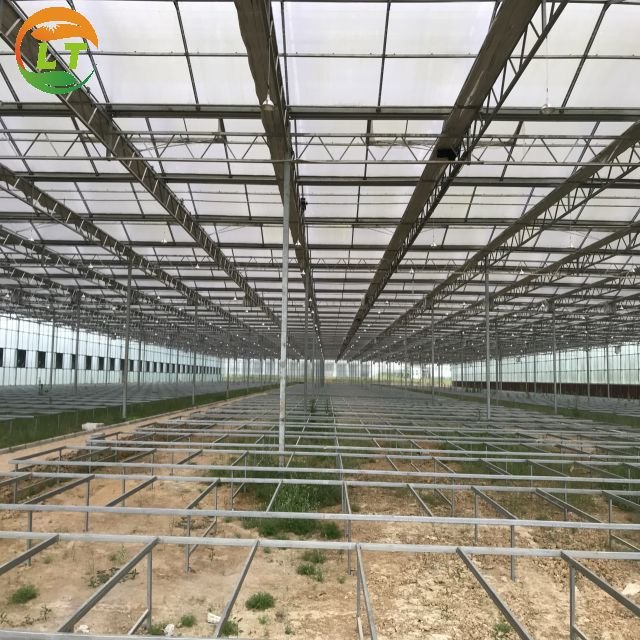 Solar Panels for Greenhouses Transparent Pc Sheet Large Chicken Coop Plants Growing Large Metal Green House Frame Large Shed