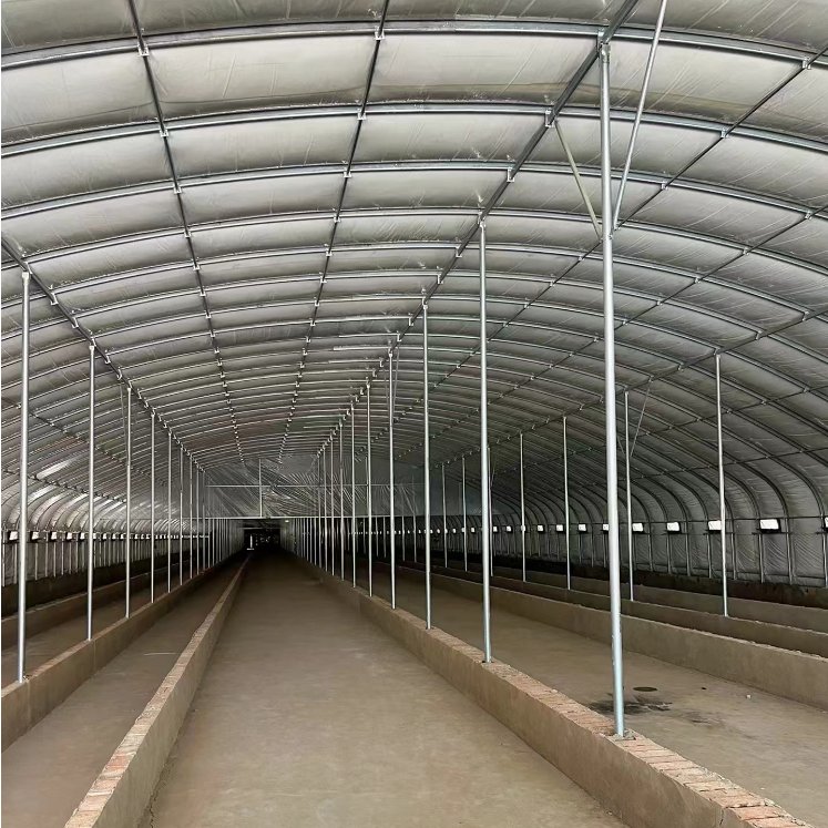 Single Double Low Cost Stable Design using Plastic Film Steel PE Large Rolling Bench Greenhouse Plant Breeding Hydroponic Tunnel