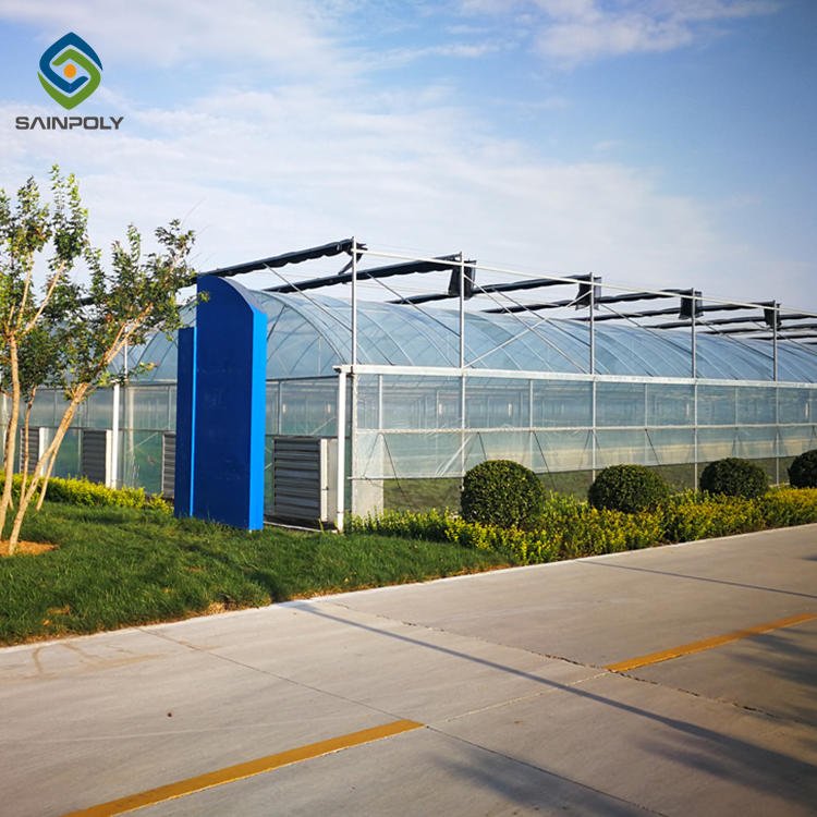 Sainpoly Hot Sale Agricultural Greenhouses Plastic Films Greenhouse Large Small Sizes