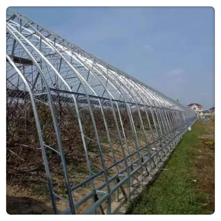 Customizable Large Agricultural Plastic Easy Installation Square Plants Made Film Steel PE Single Span Tunnel Greenhouses
