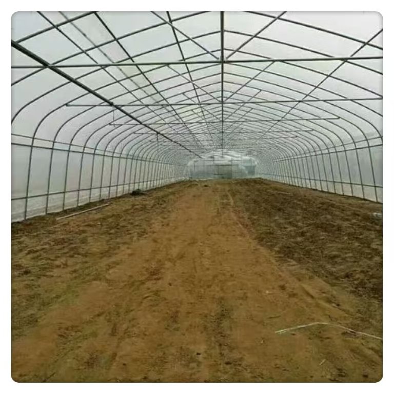 Customizable Large Agricultural Plastic Easy Installation Square Plants Made Film Steel PE Single Span Tunnel Greenhouses