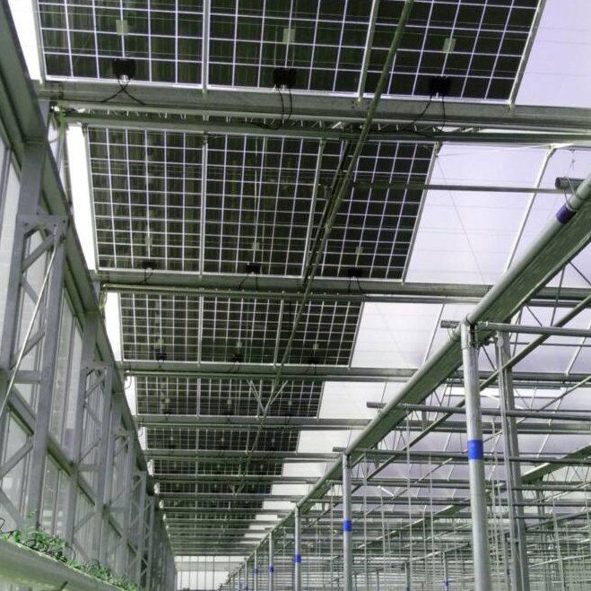 Solar Greenhouse to Use Easy Investment in The Most Cultivated Greenhouse